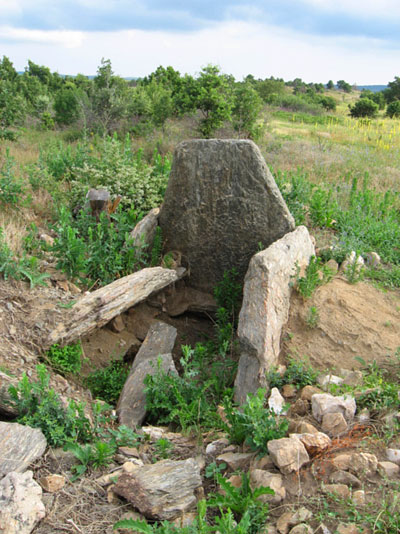 долмен в поле